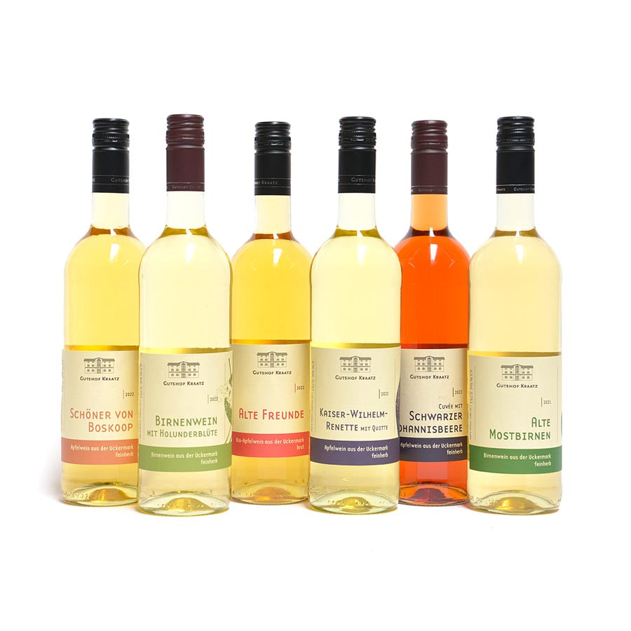 Apfelwein Probekarton bunt gemischt 6 Flaschen 750 ml