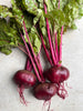 Bio Rote Bete
