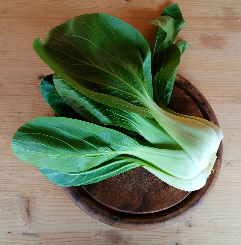 Pak Choi
