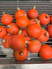 Bio Mini-Hokkaidokürbis