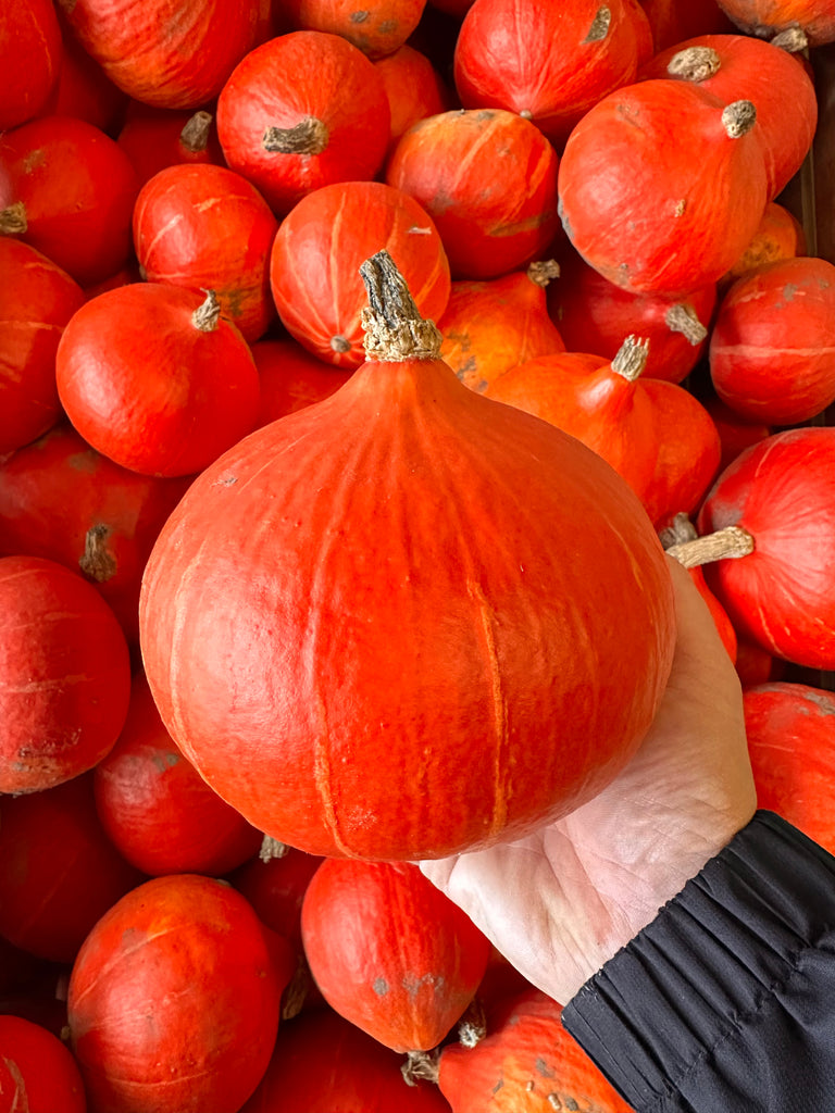 Bio Hokkaidokürbis orange