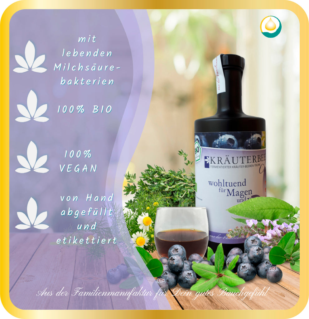 Bio Fermentgetränk Kräuterbeer Classic 0,5l Glasflasche - EVP 37,50 €