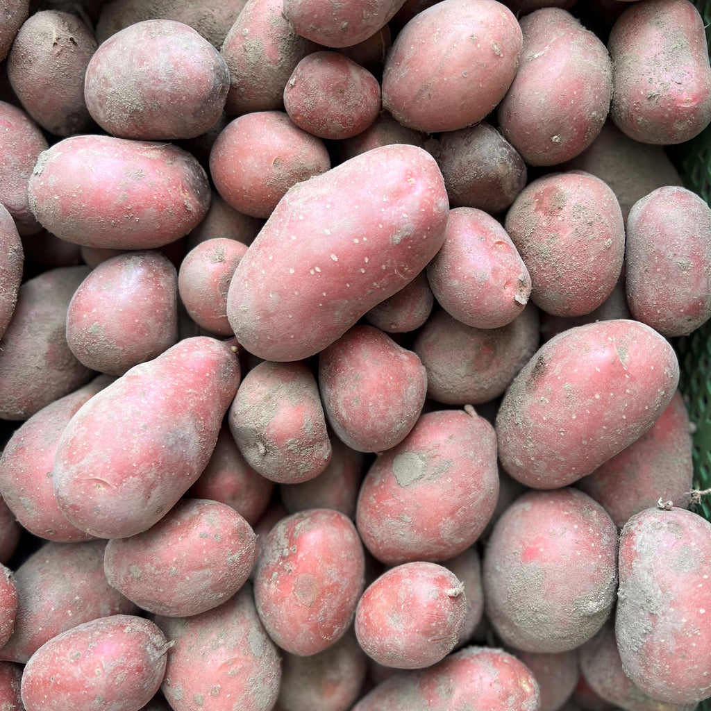 Kartoffel, Laura, fk, 12,5 kg