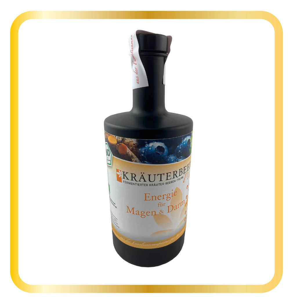 Bio Fermentgetränk Kräuterbeer Pikant 0,5l Glasflasche - EVP 49,81 €