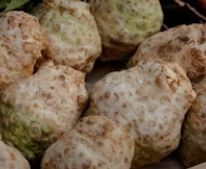 Knollensellerie lose