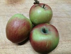 Apfel "Delba Estival", demeter