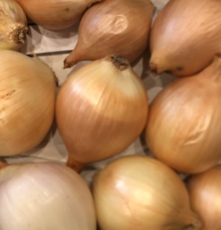 Große gelbe Zwiebeln - 5 kg