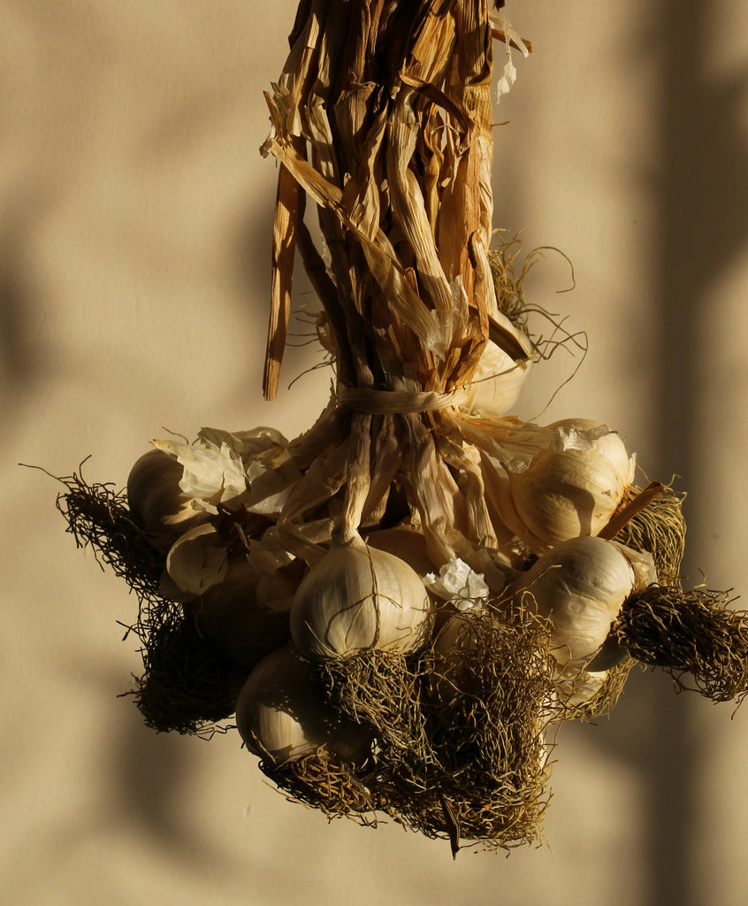 Schnittknoblauch 25g