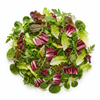 Bunter Schnittsalat  Züssow