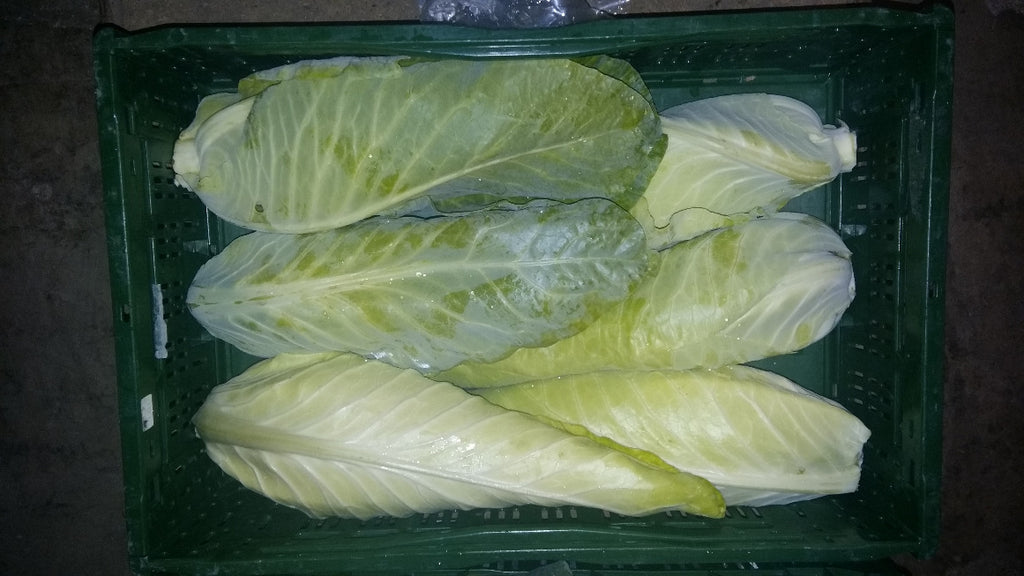Spitzkohl, 3kg