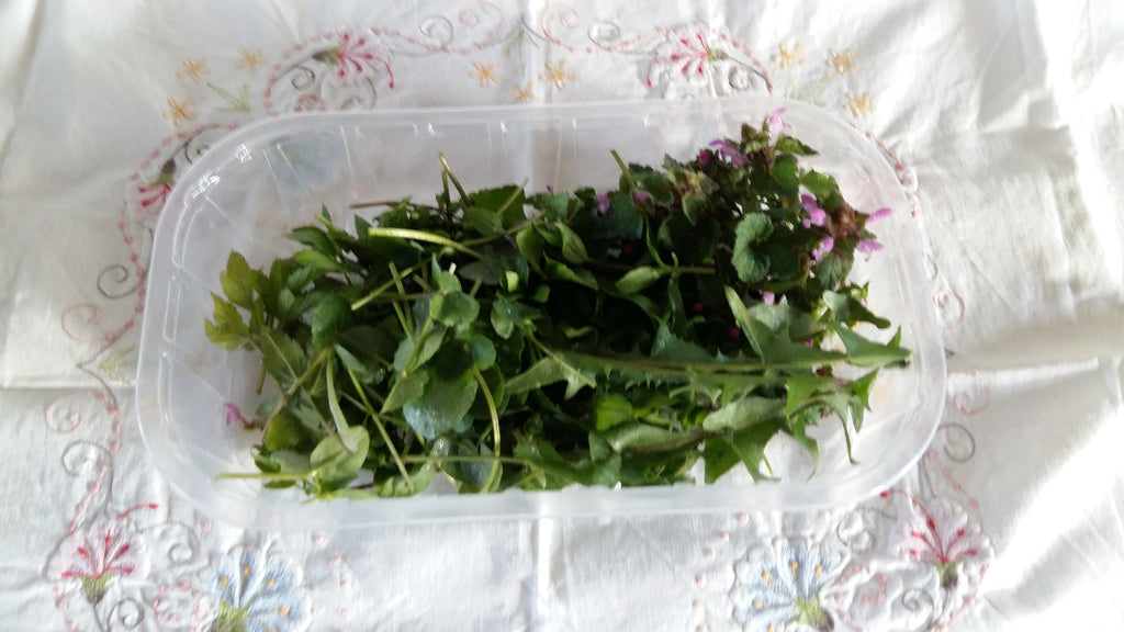 Wildkräuterschale 40g