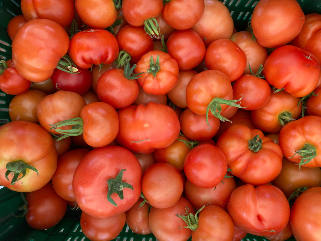 Tomaten - Normal-rot-(1kg/4,50€)