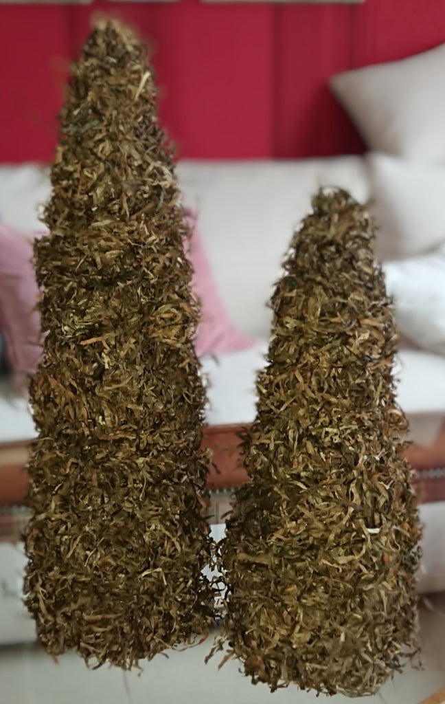 Weihnachtsbäume aus Seegras Set 20cm/30cm
