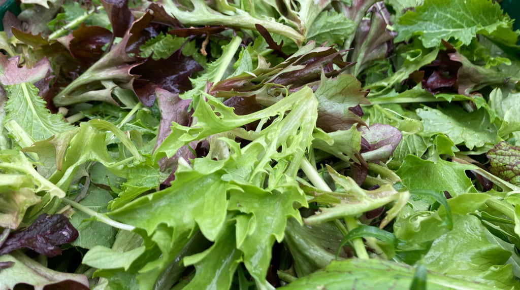 Salatmischung (1kg)