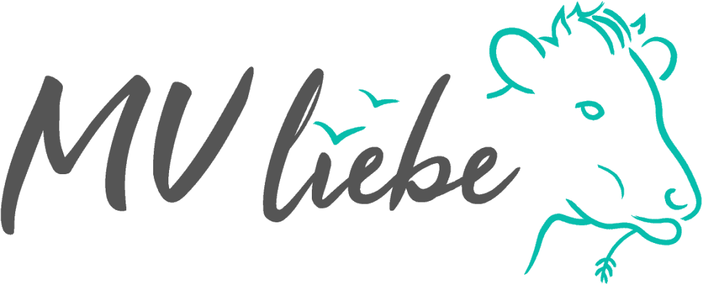 TestProdukt MV Liebe